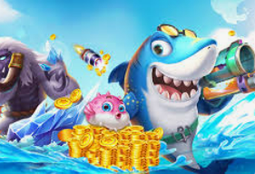 78m.ppt威久国际免费版正式版